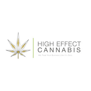 Geometric cannabis leaf logo with gold and green accents.