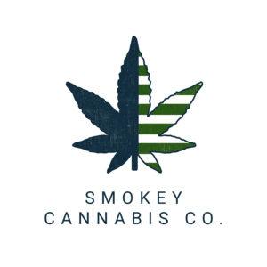 Modern logo featuring a duo-tone cannabis leaf in deep blue and fresh green, accompanied by bold text below.