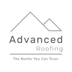 Elegant roofing logo with a bold "P" and shield motif for protection against leaks.