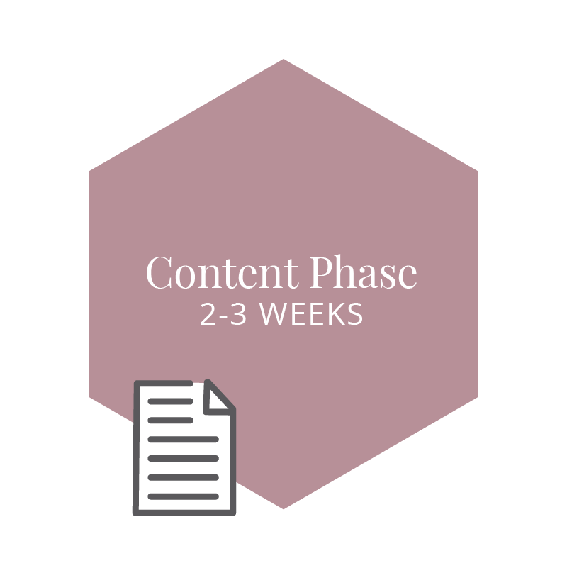 With website design as a key focus, this content project will enter its second phase and will span over a period of 3 weeks.