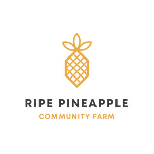 Simplified golden pineapple as the central element of the Pineapple Farm Logo, representing sustainable farming and freshness.