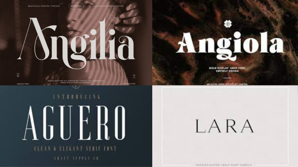 Elegant serif fonts displayed in a variety of bold and modern layouts for branding purposes.