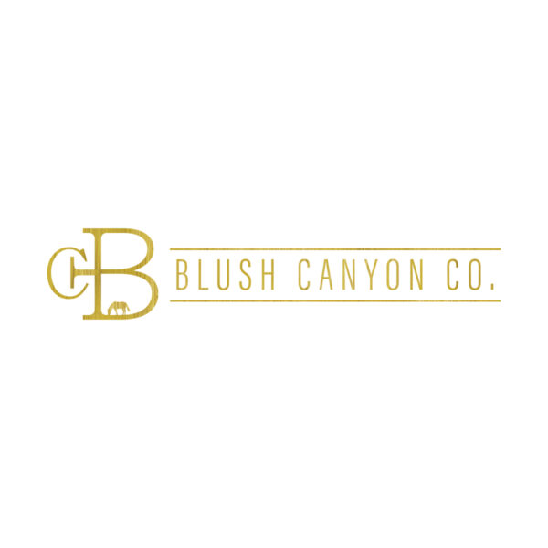 Chic Monogram Boutique Logo