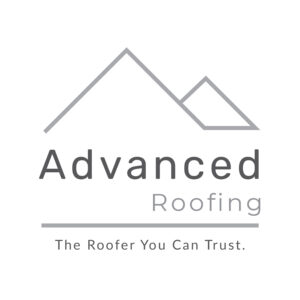 Elegant roofing protection logo