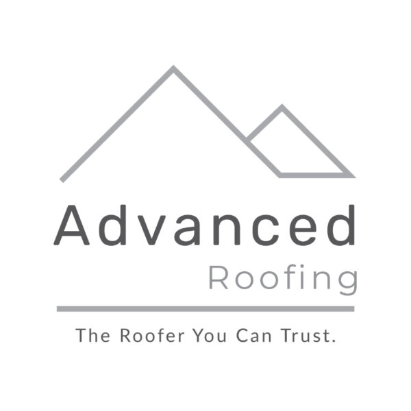 Elegant roofing protection logo